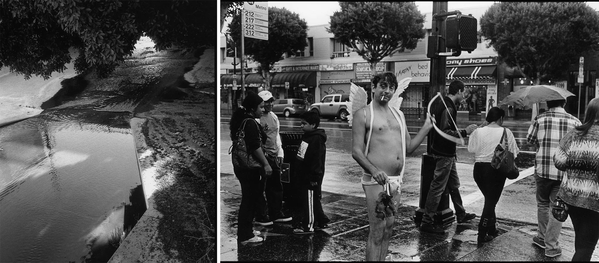 Blake Andrews, City of Angles