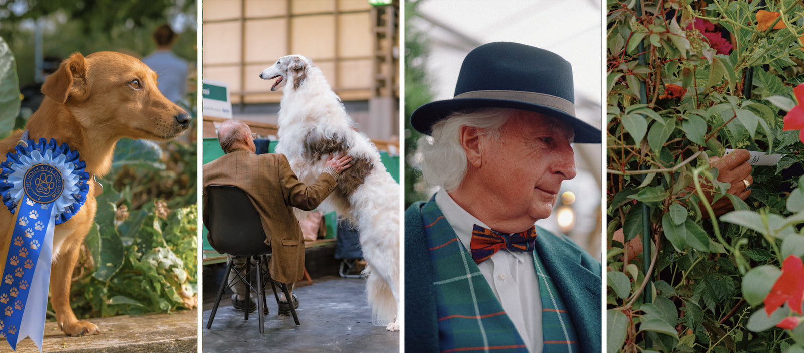 'Green Thumb' & 'Ruff Day', Photoseries by Josh & Shane