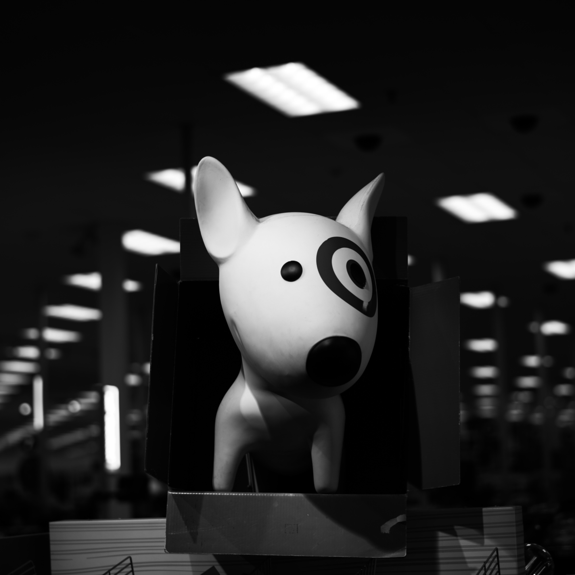 Photograph by ROBERT RANGEL for #40 Monochrome