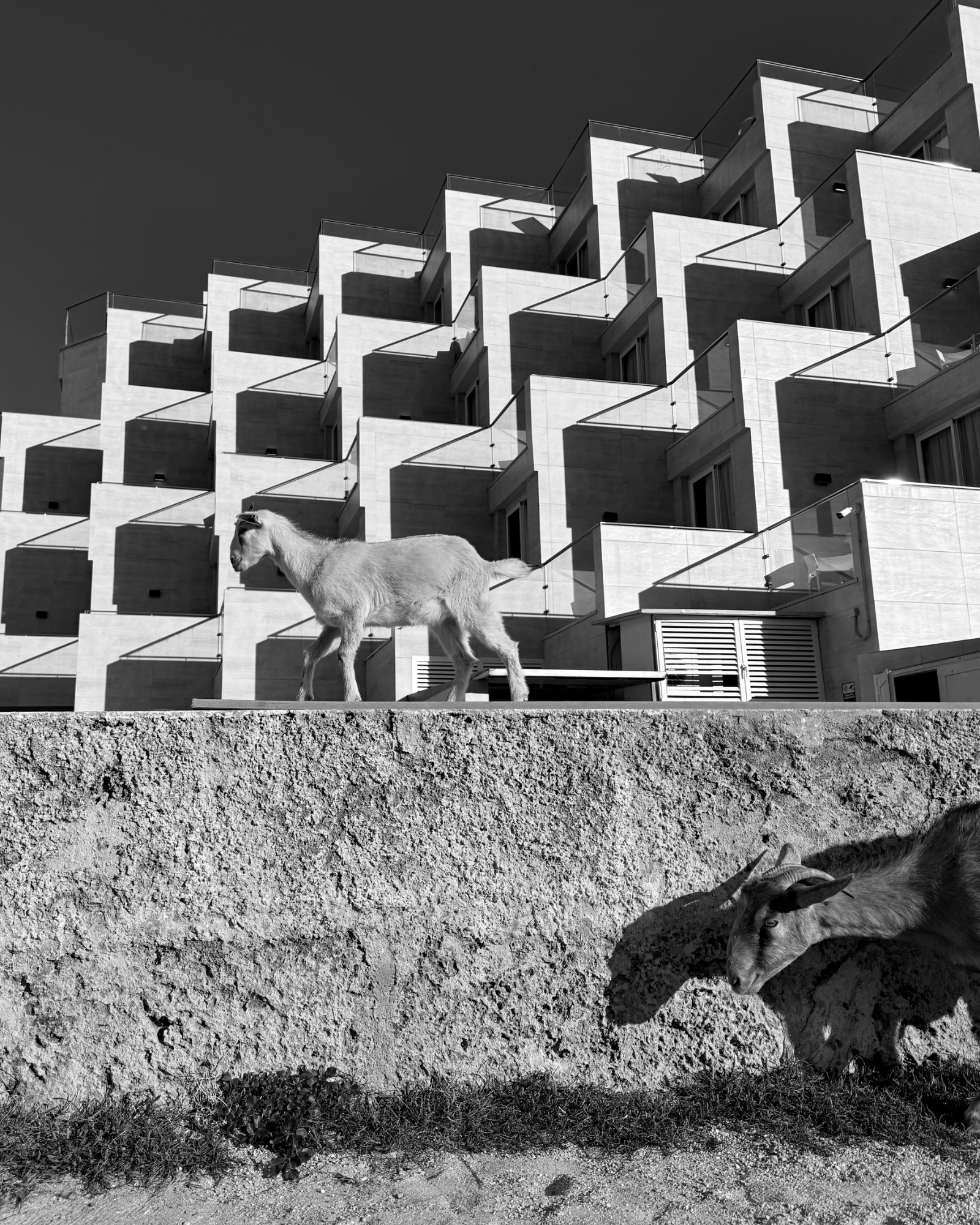 Photograph by Abigail Freeman for #40 Monochrome
