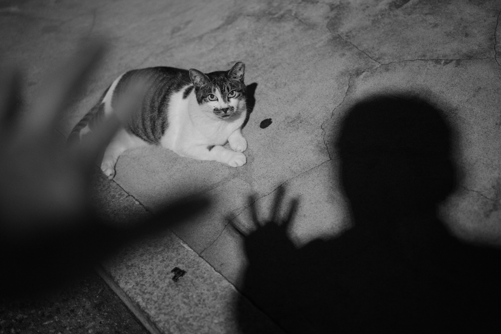 Photograph by Cyril Chan for #40 Monochrome