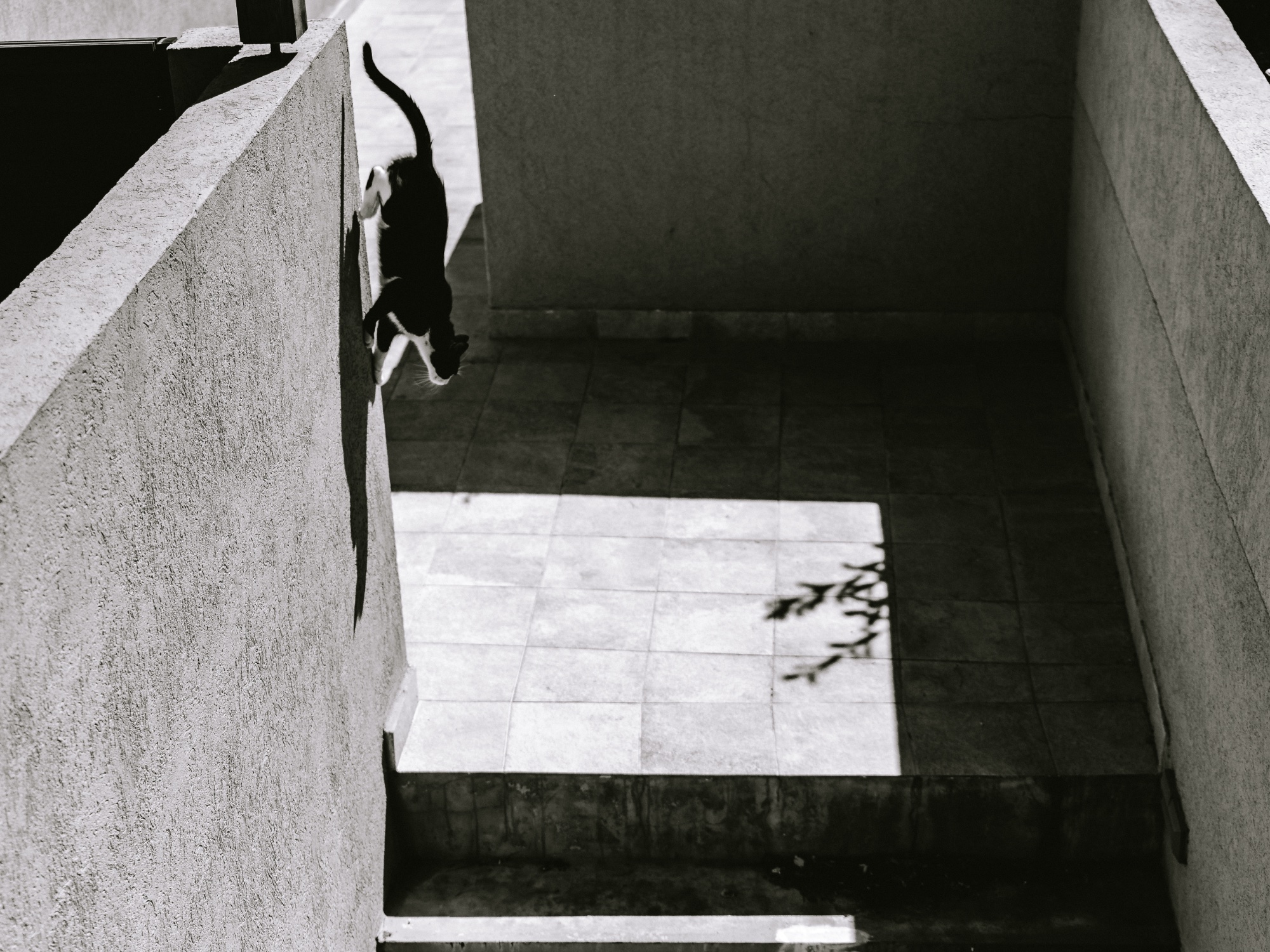 Photograph by L.A.C. 9000 for #40 Monochrome