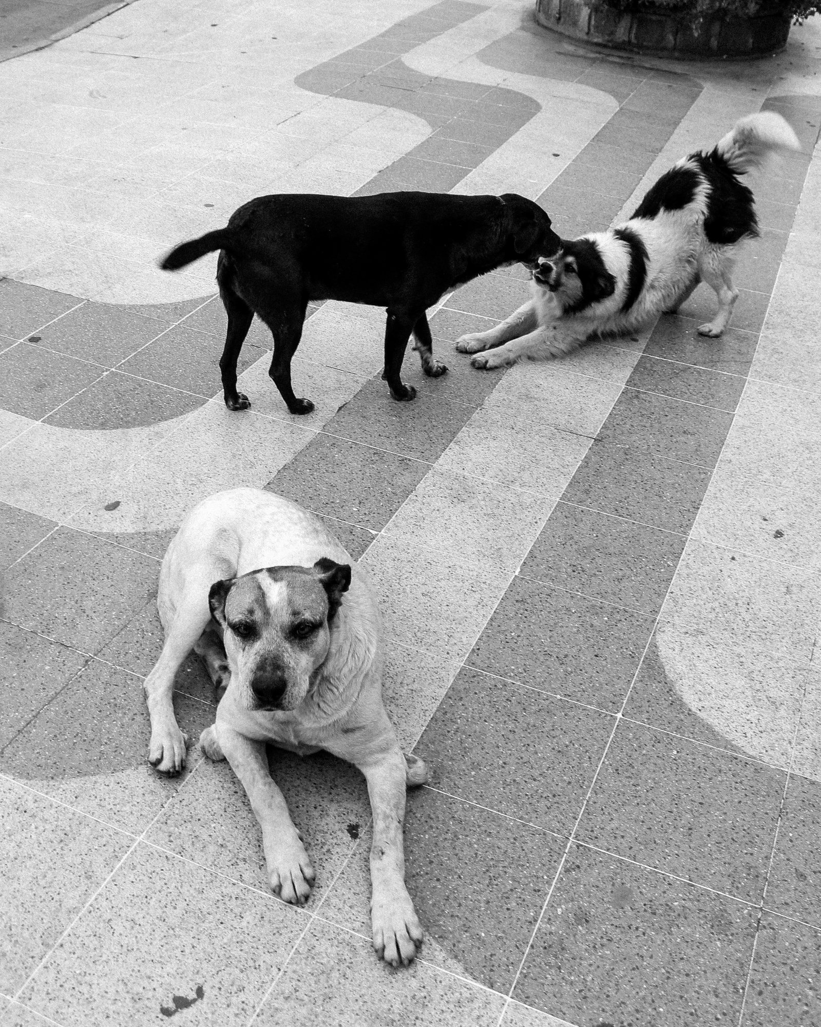 Photograph by Juan Manuel Barbé for #40 Monochrome