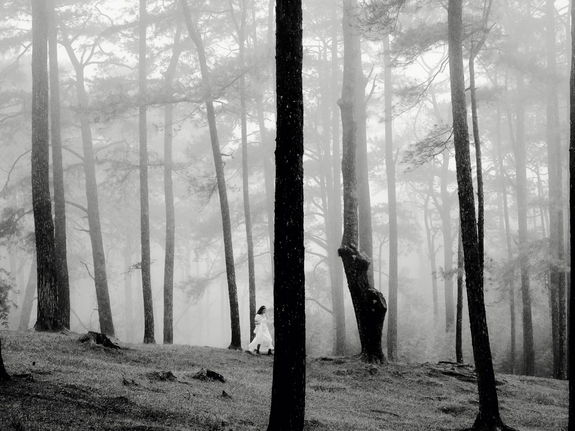 Photograph by Kimbo Fidelo Sito for #40 Monochrome