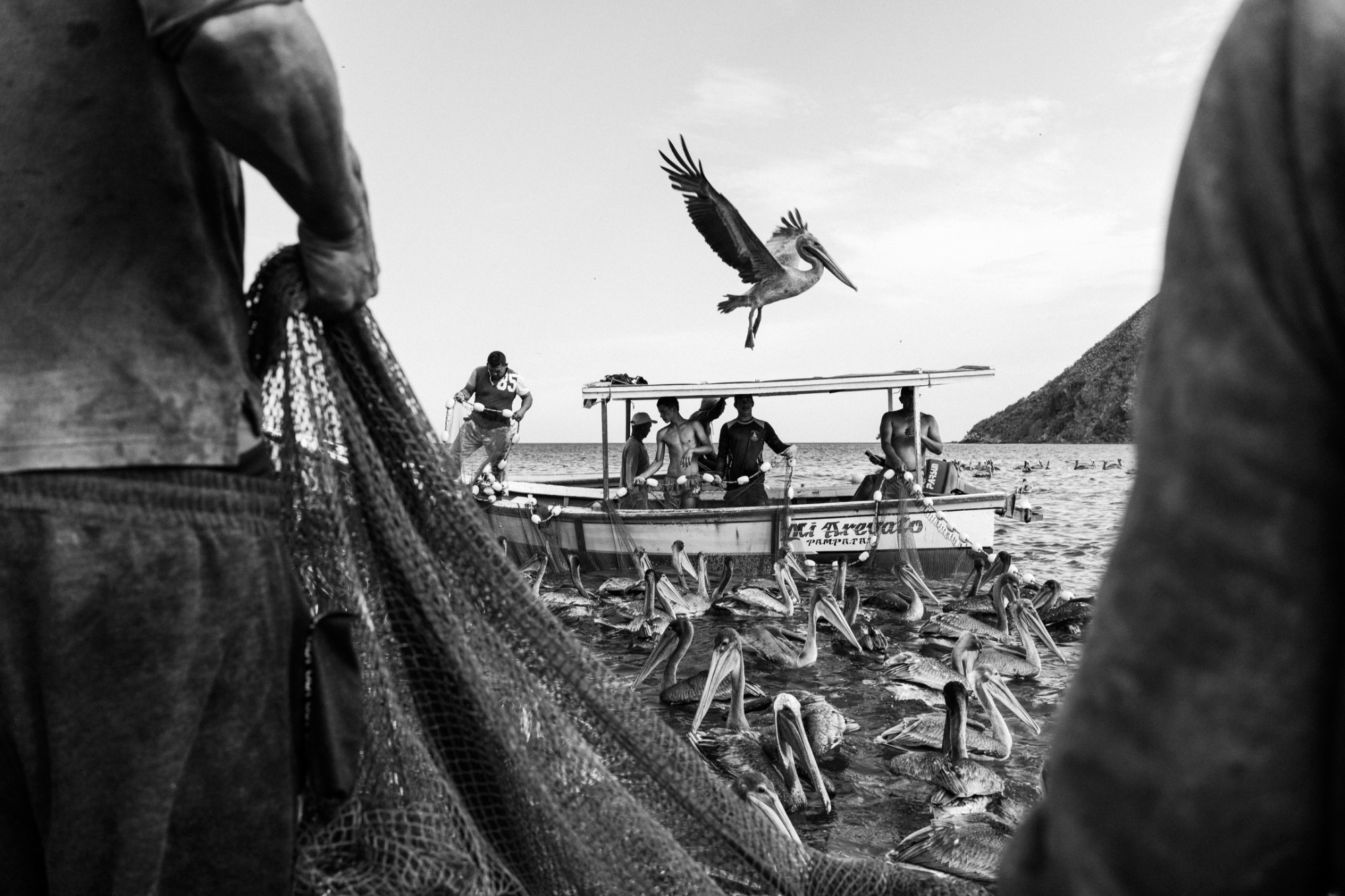 Photograph by Felix Ovalle for #40 Monochrome