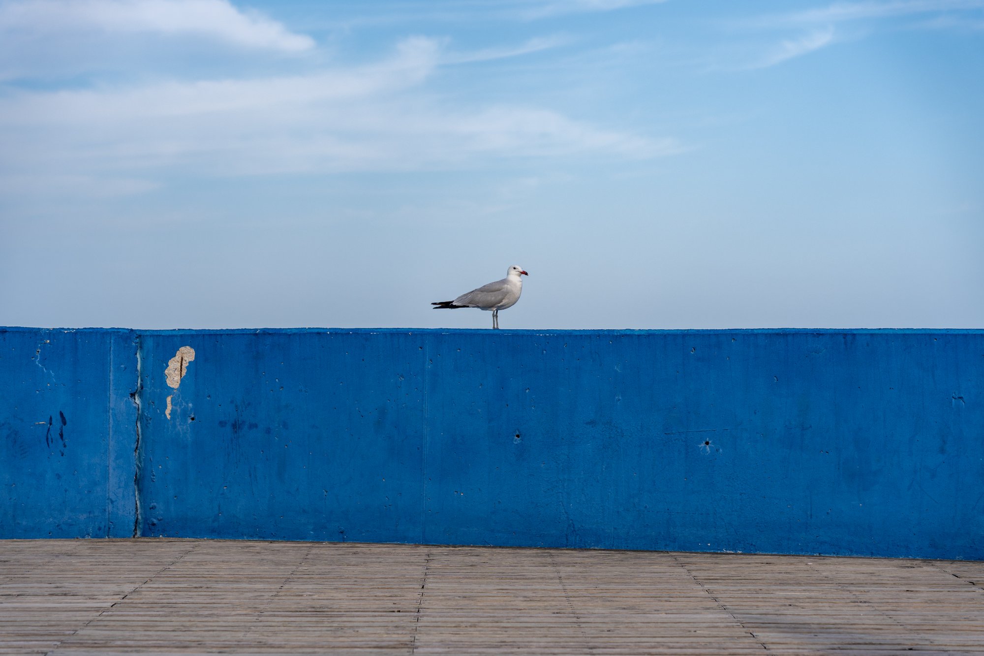 Submission by Ahmed Elassy