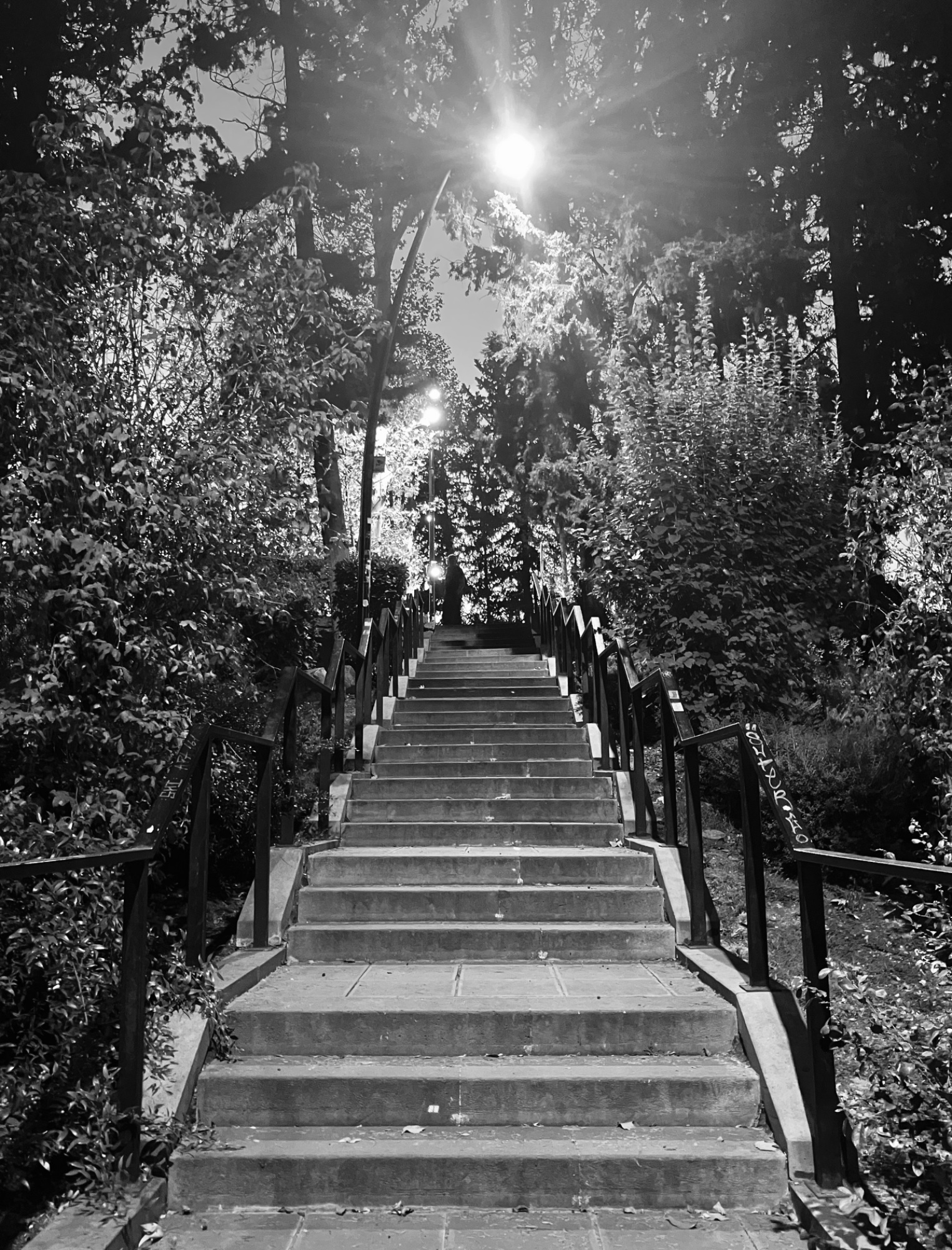 Photograph by Niche Photography for #40 Monochrome