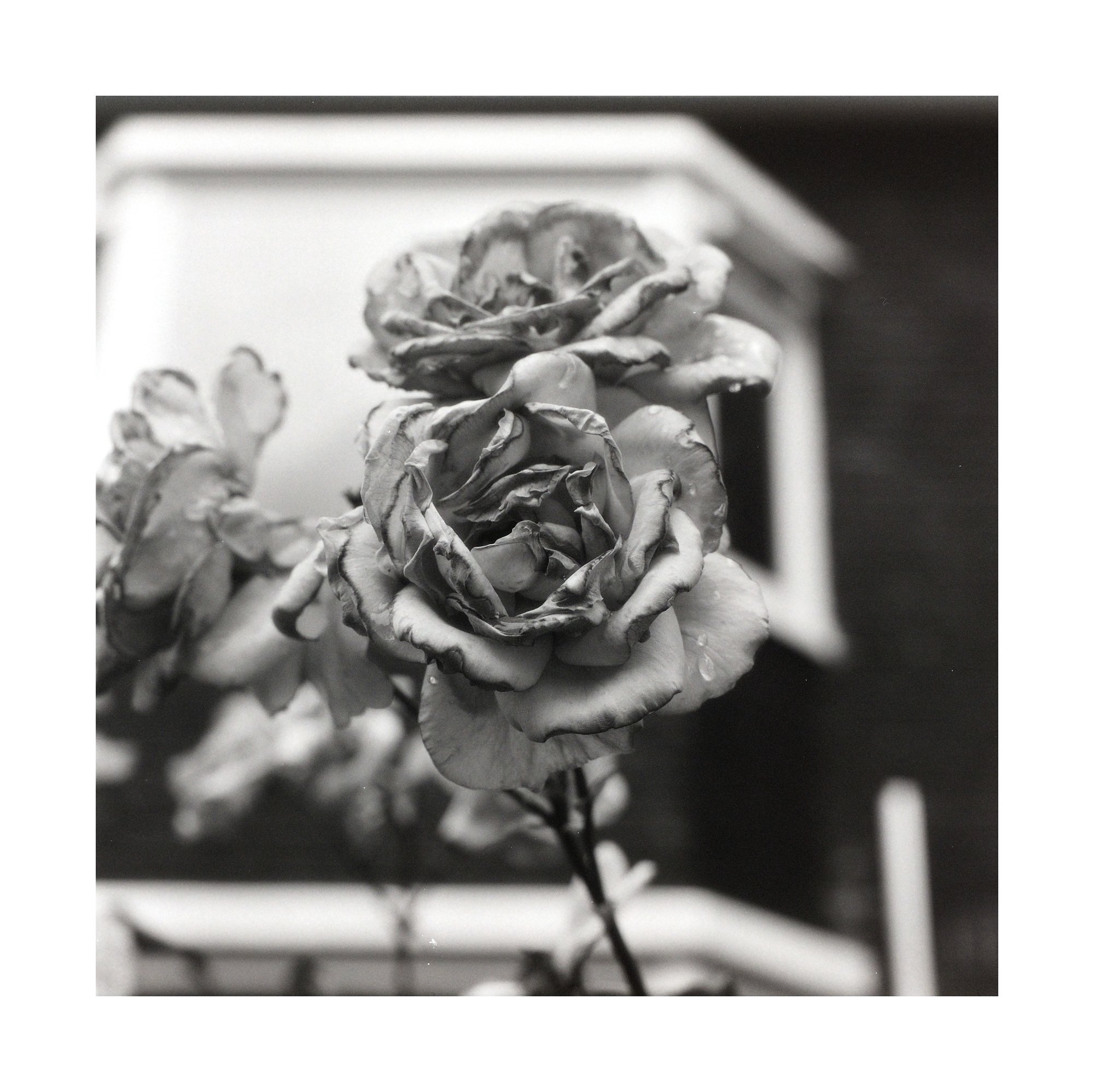 Photograph by Markus for #40 Monochrome