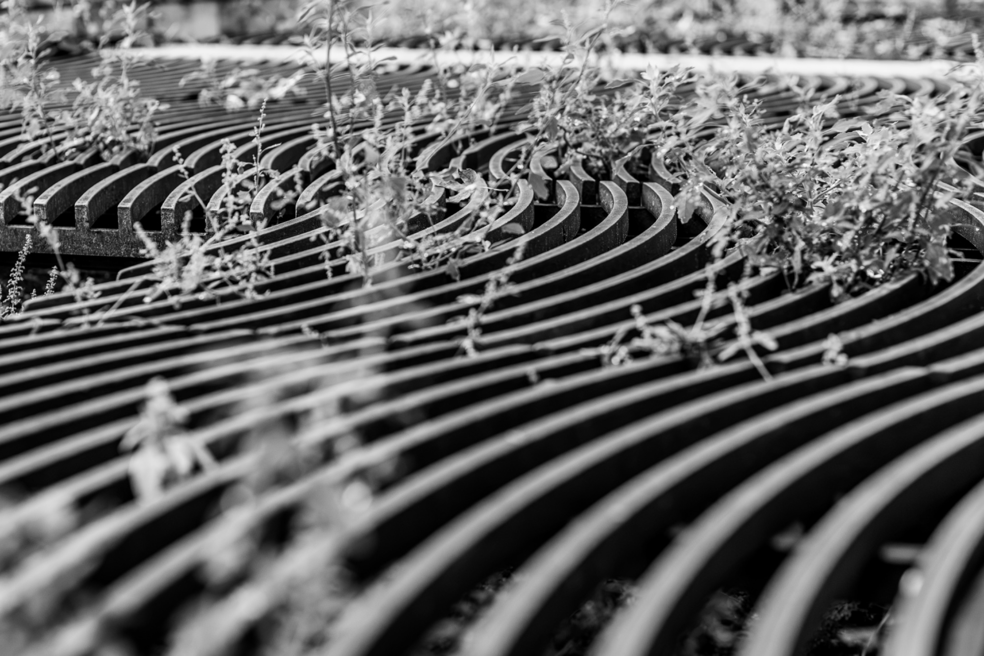 Photograph by Paul Innes for #40 Monochrome