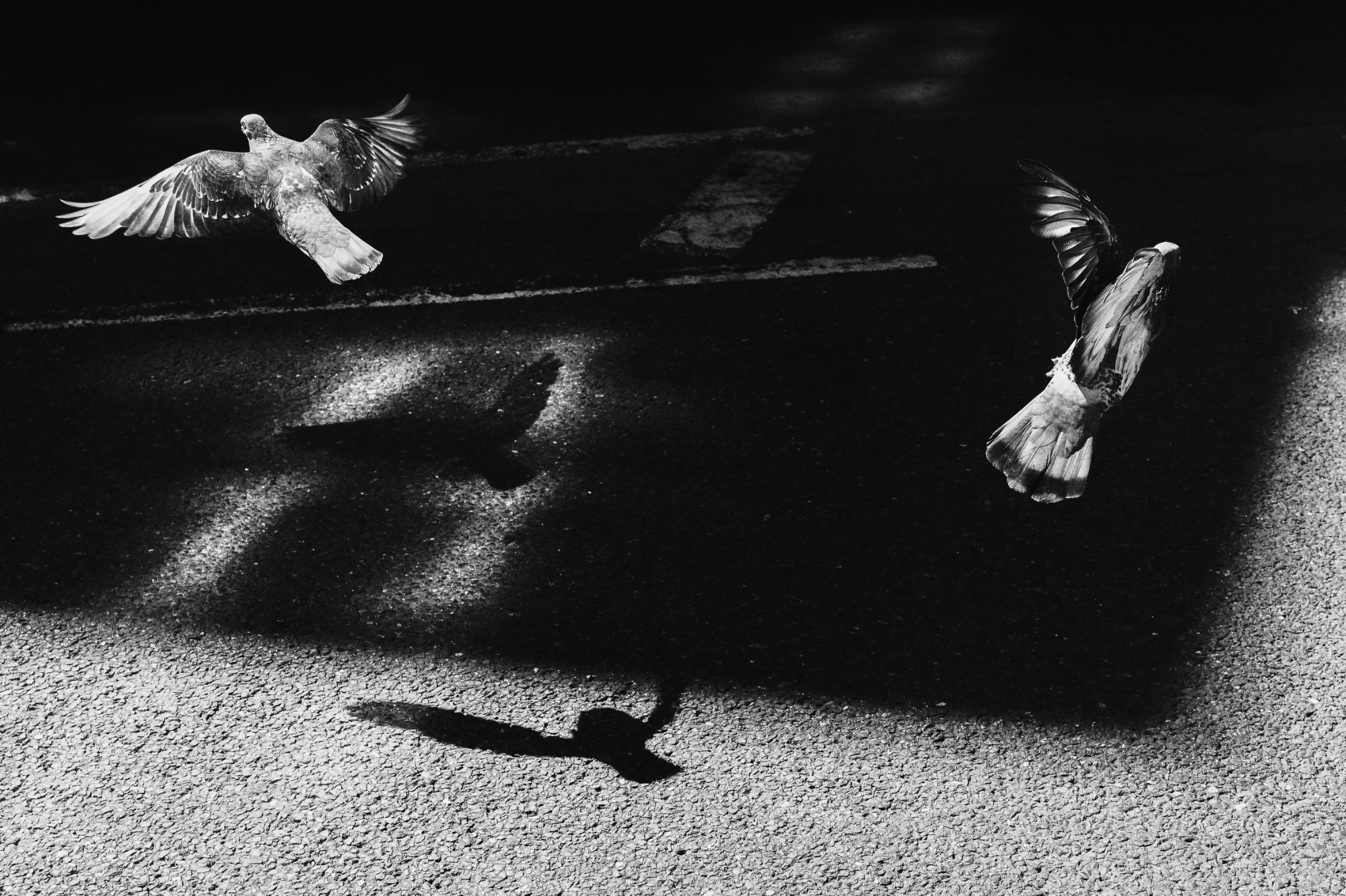 Photograph by Joshua Oduse for #40 Monochrome