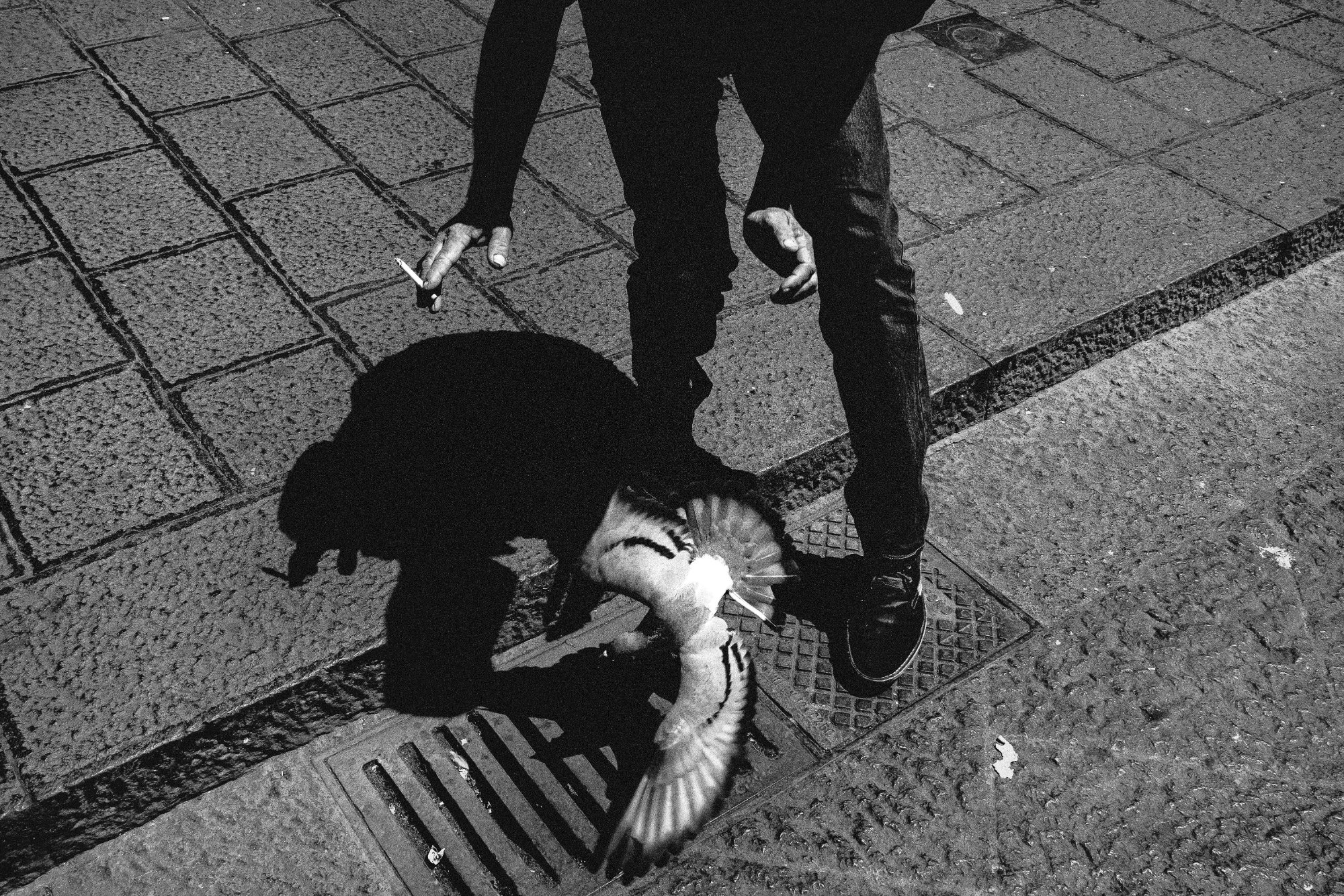 Photograph by Will for #40 Monochrome