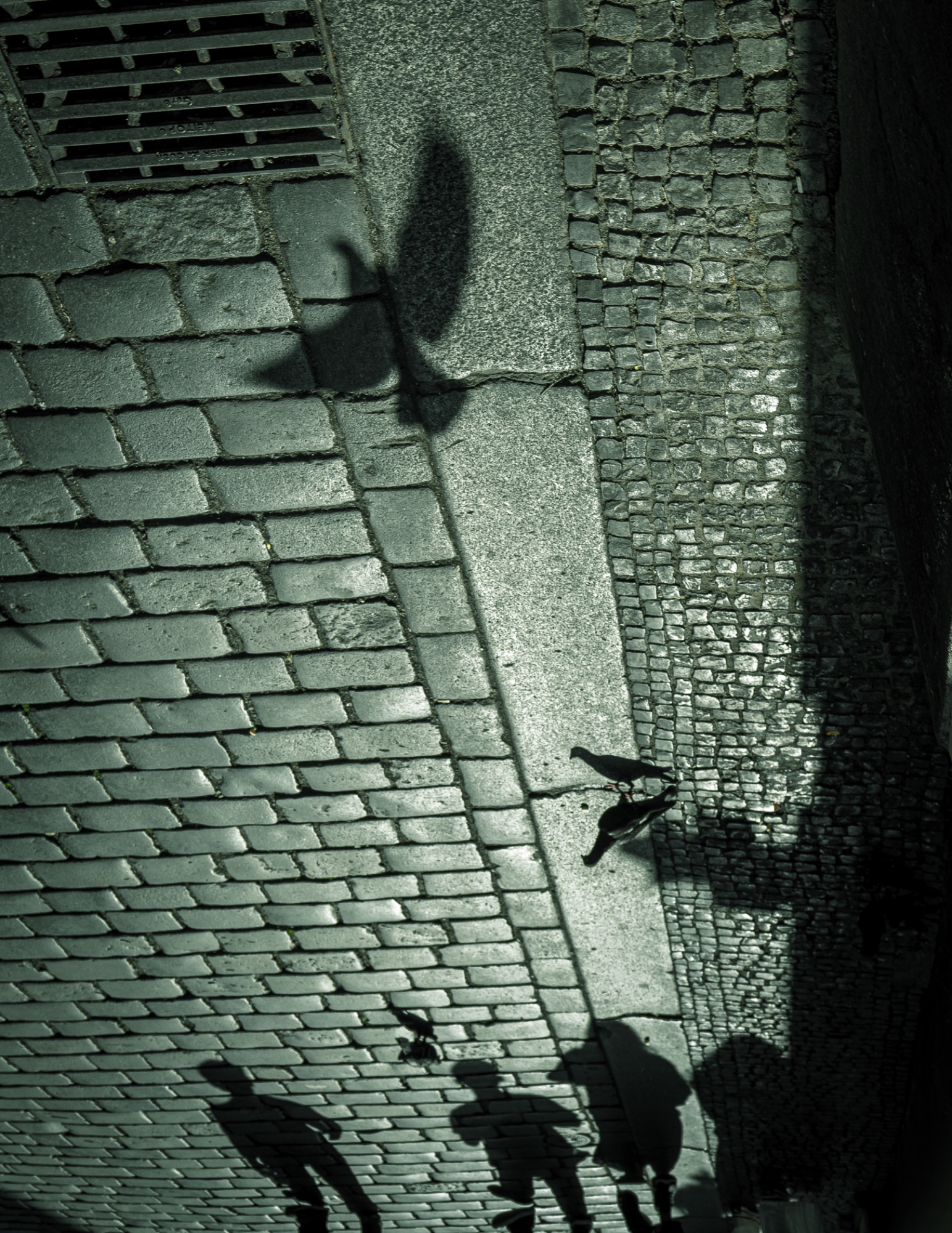 Photograph by Afshin for #40 Monochrome
