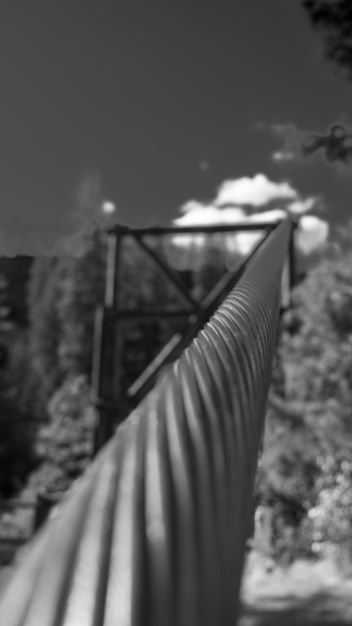 Photograph by Ryan Rogers for #40 Monochrome