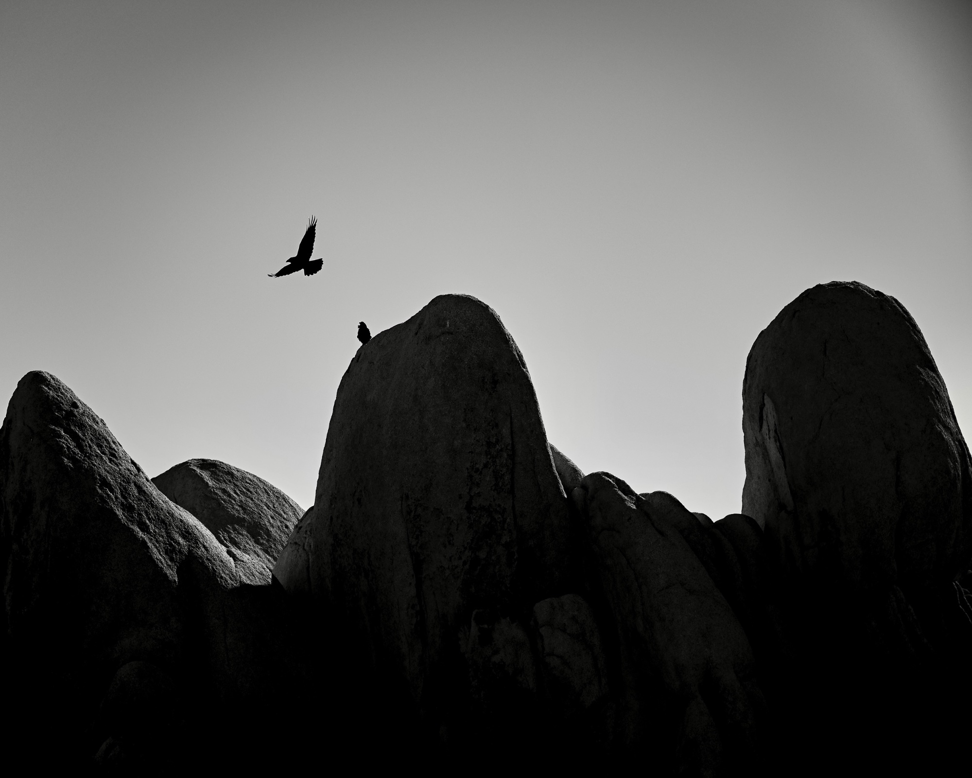 Photograph by Gary Gray for #40 Monochrome