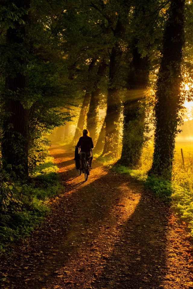 Golden or Blue Hour