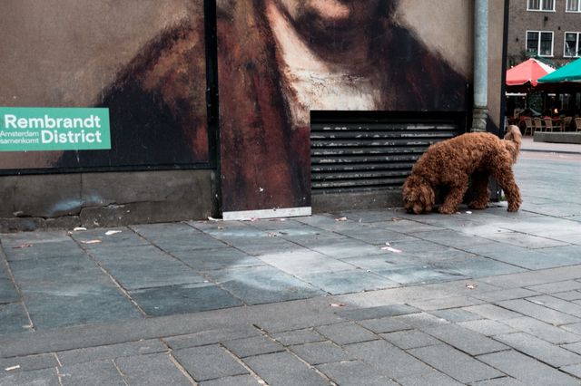 Dogs