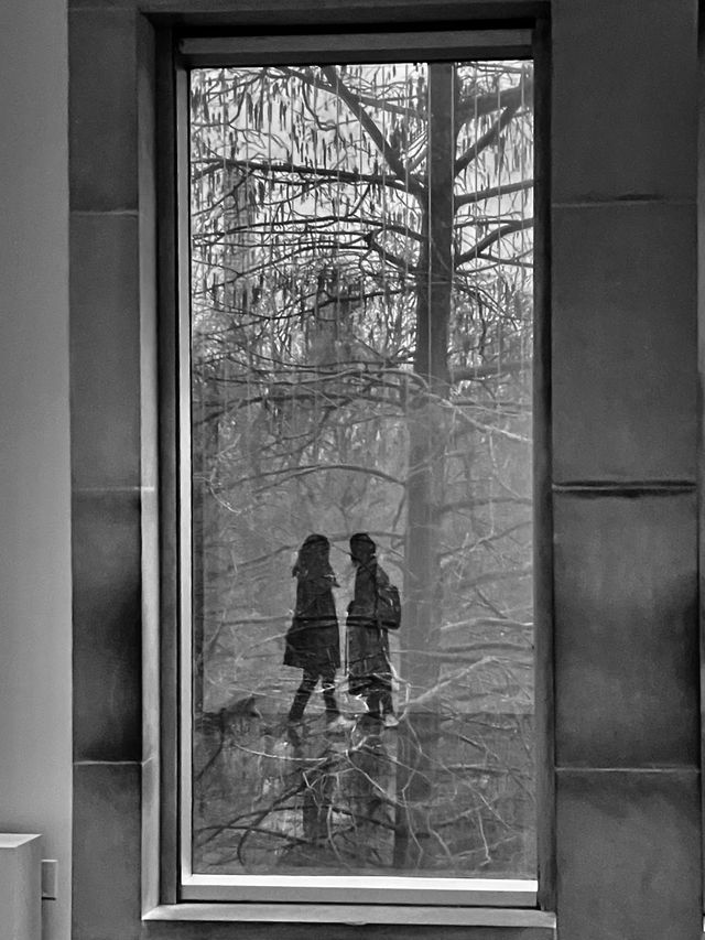 Reflections