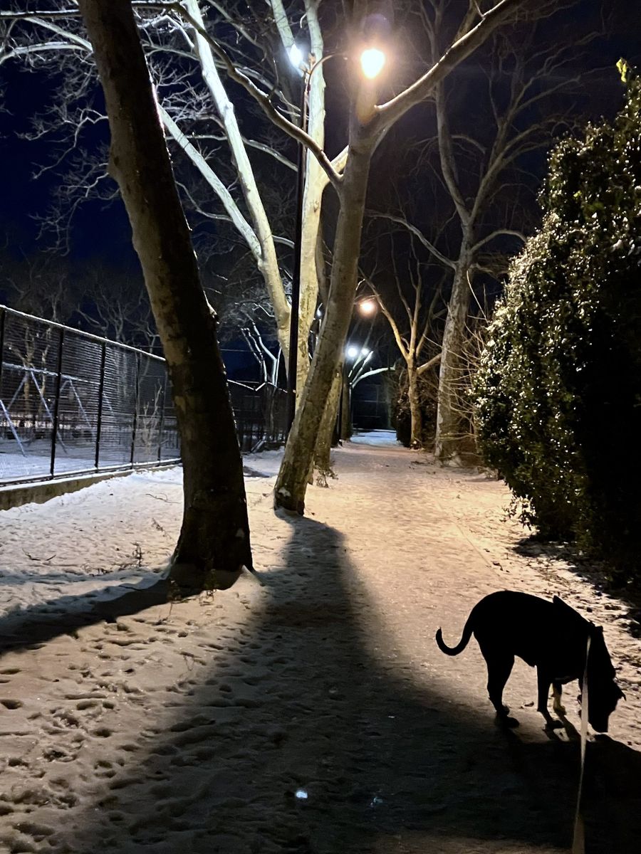 Submission by Frank Lucerna