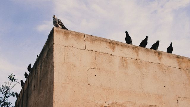 Repetition