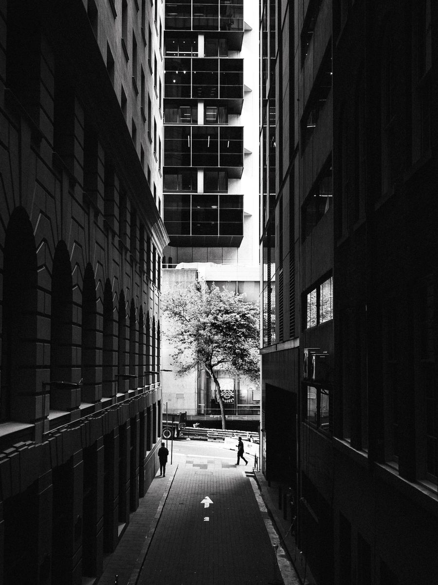 Submission by Jackson Tigwell