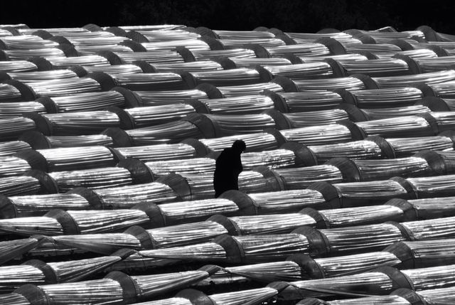 Repetition