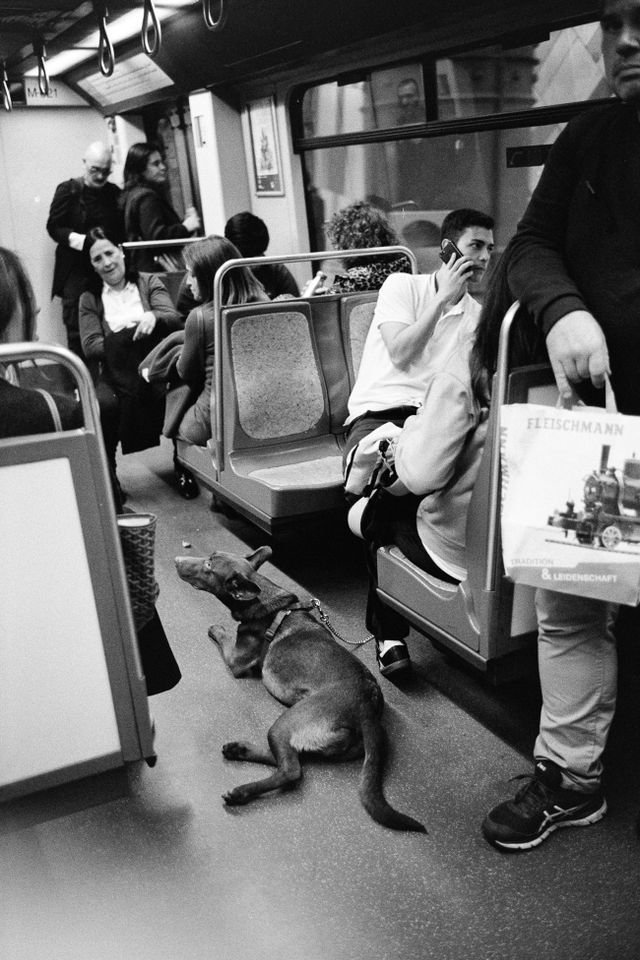 Public Transport