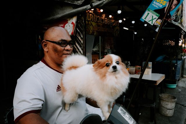 Dogs
