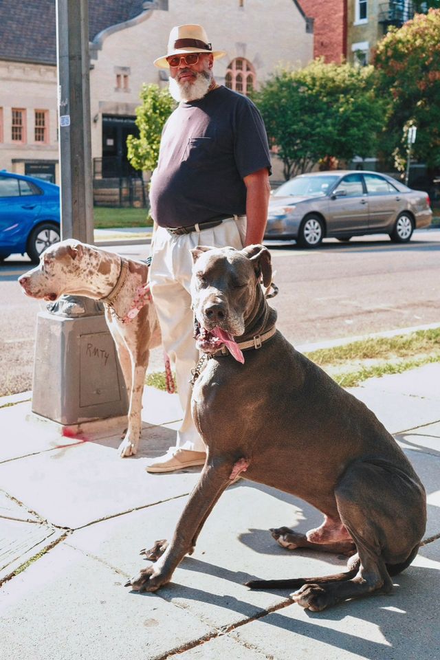 Dogs