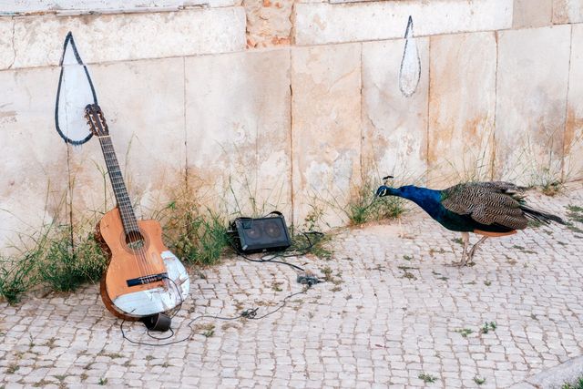 Urban Wildlife