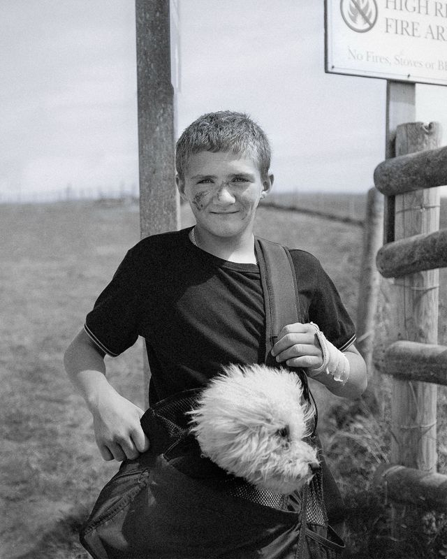 Dogs