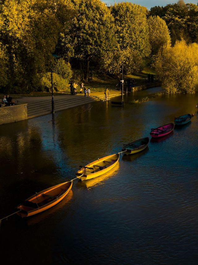 Golden or Blue Hour