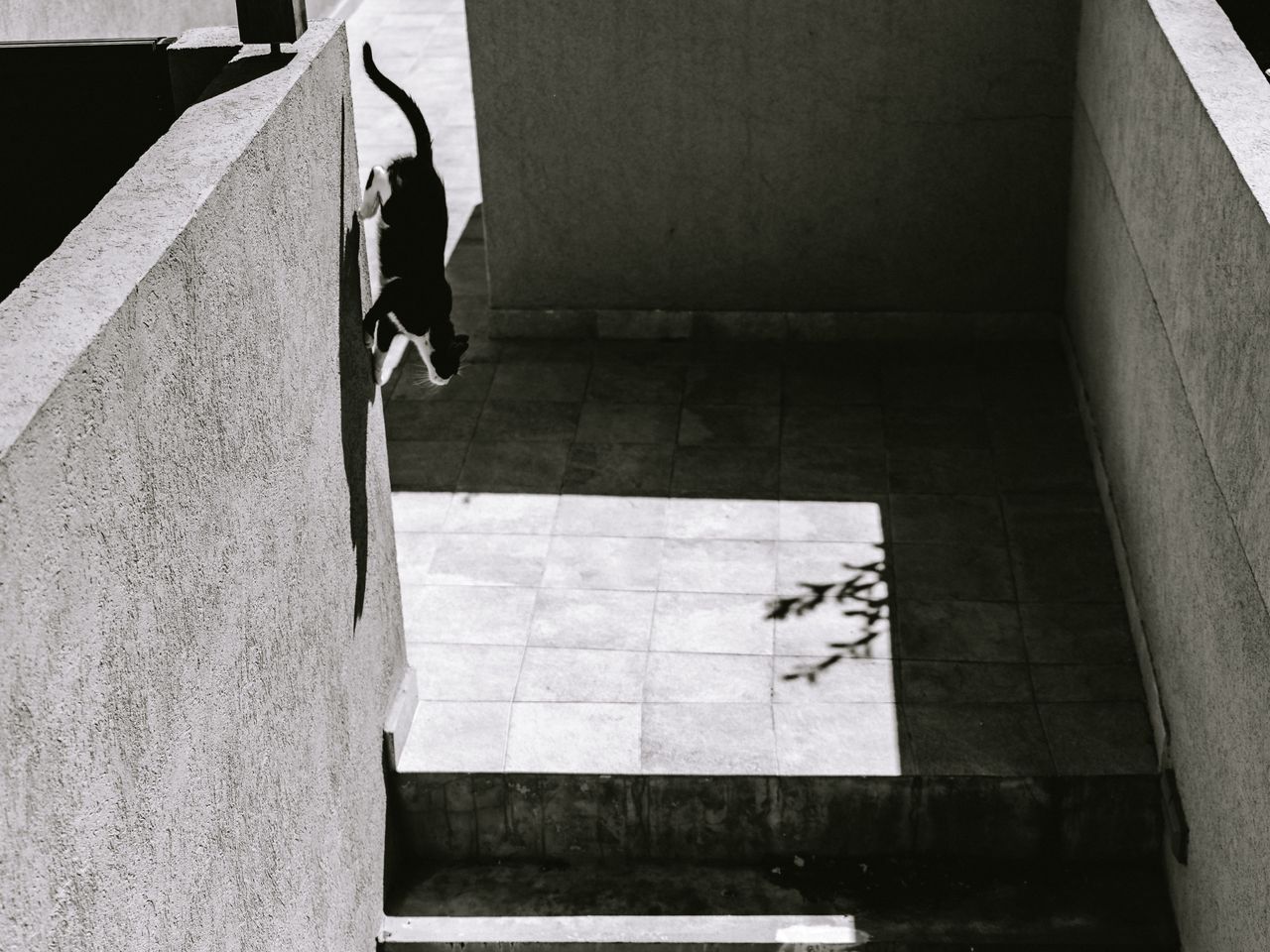 Monochrome