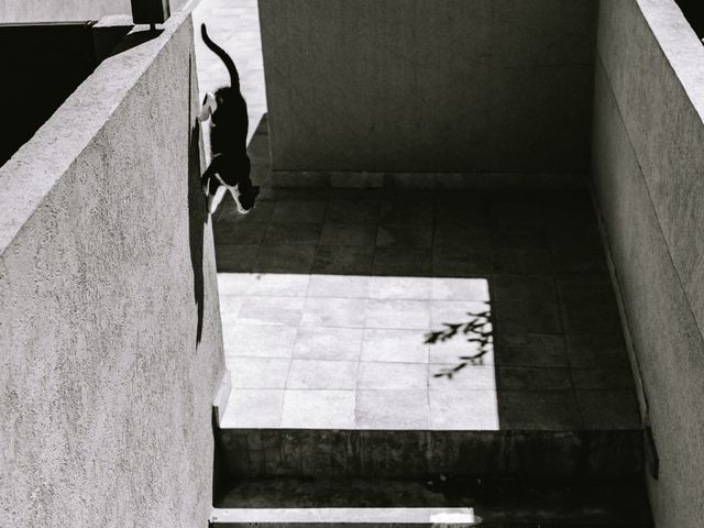 Monochrome
