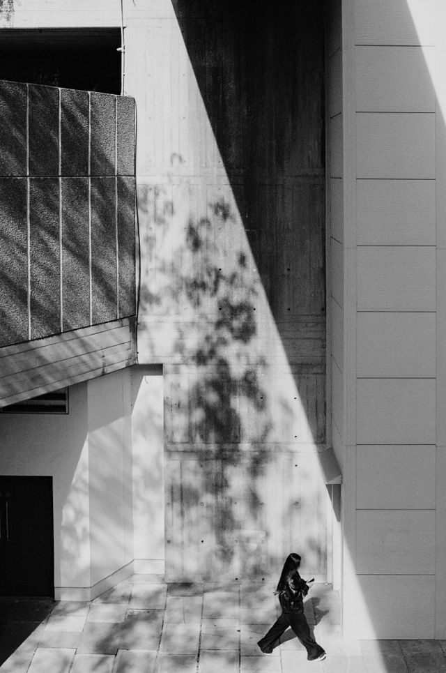 Monochrome