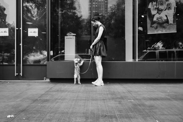 Dogs