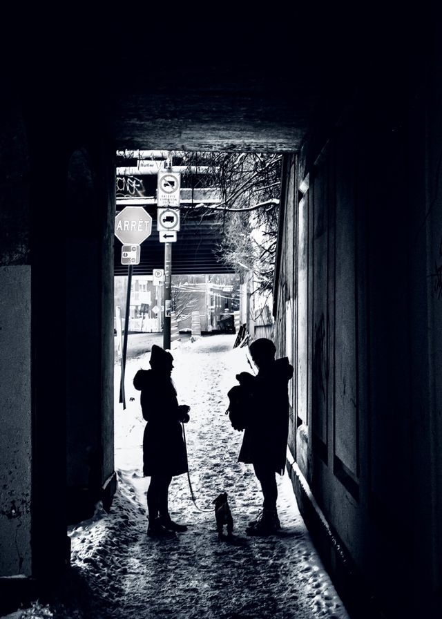 Monochrome