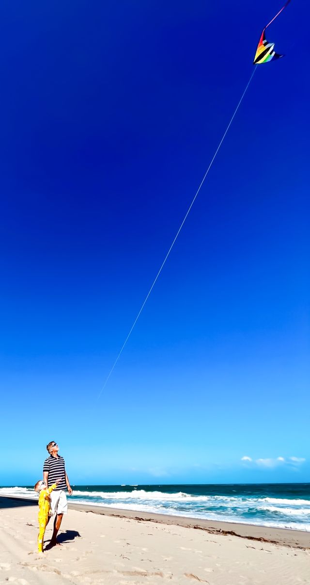 The Colour Blue