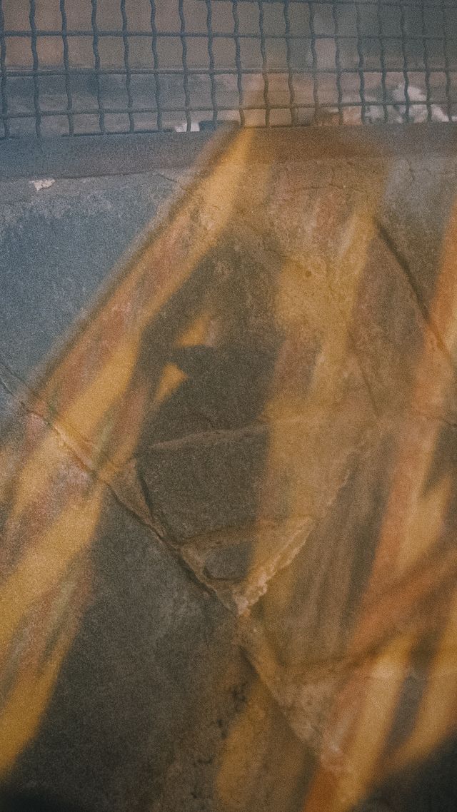 Abstract