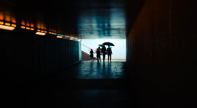 Shadows