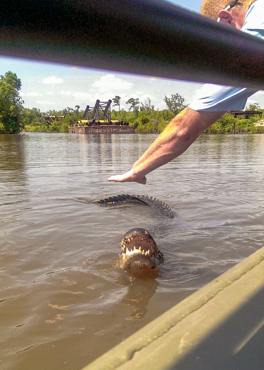 Submission by Peter Jacoby