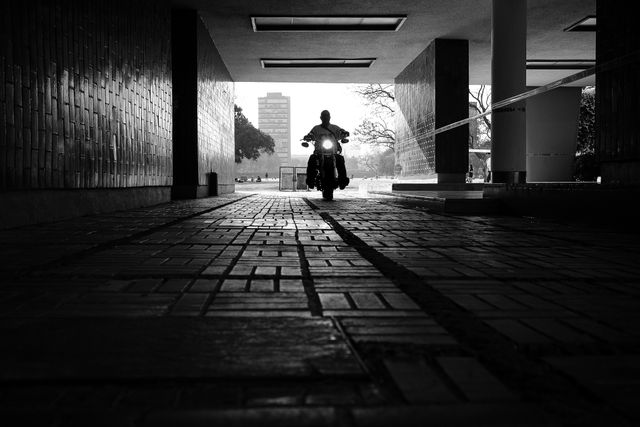 Shadows