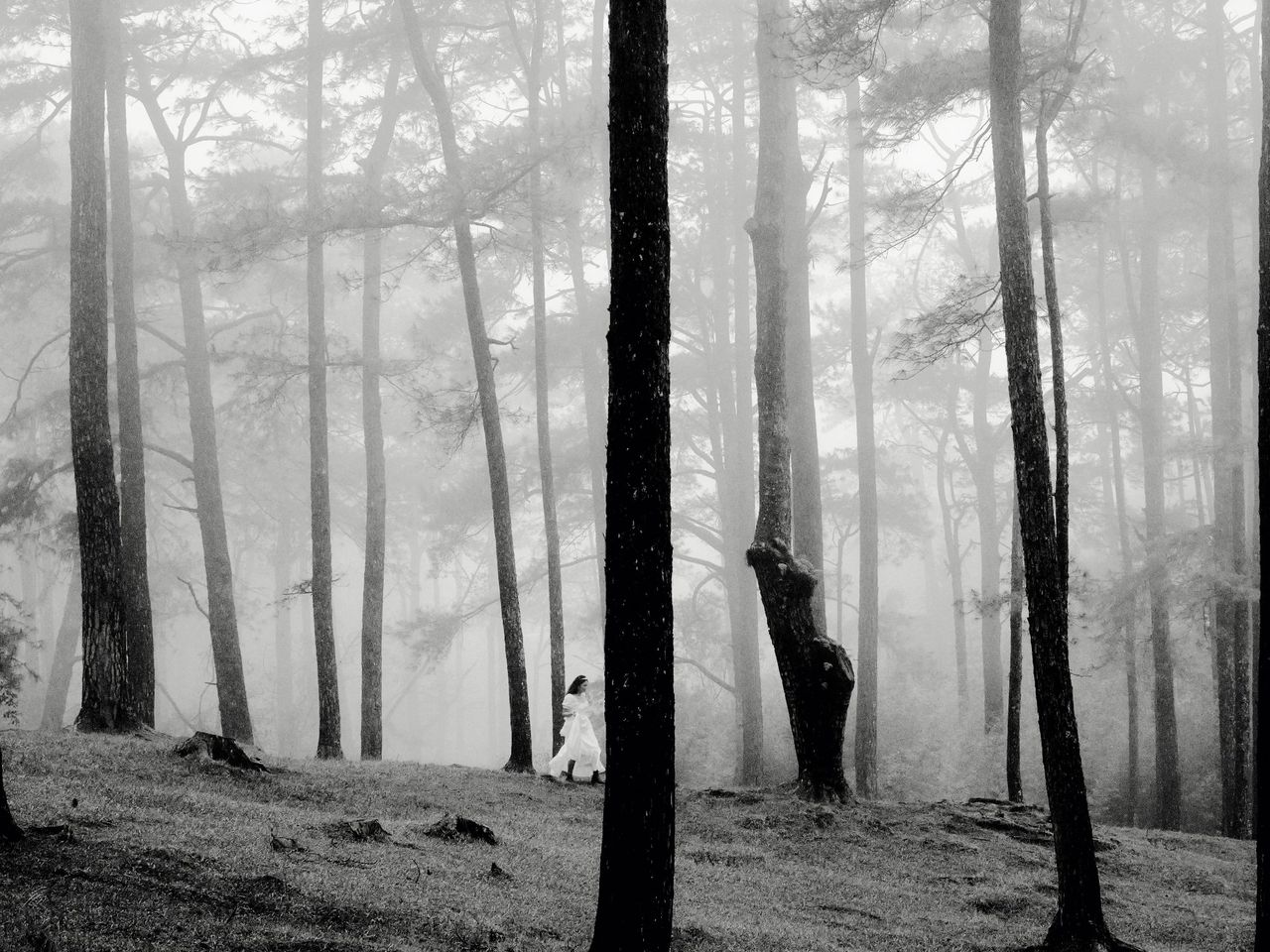 Monochrome