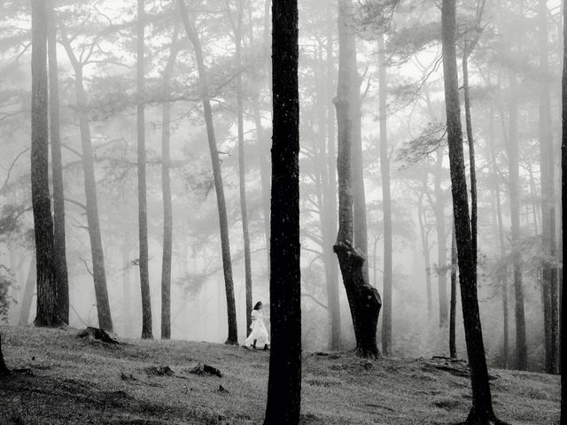 Monochrome