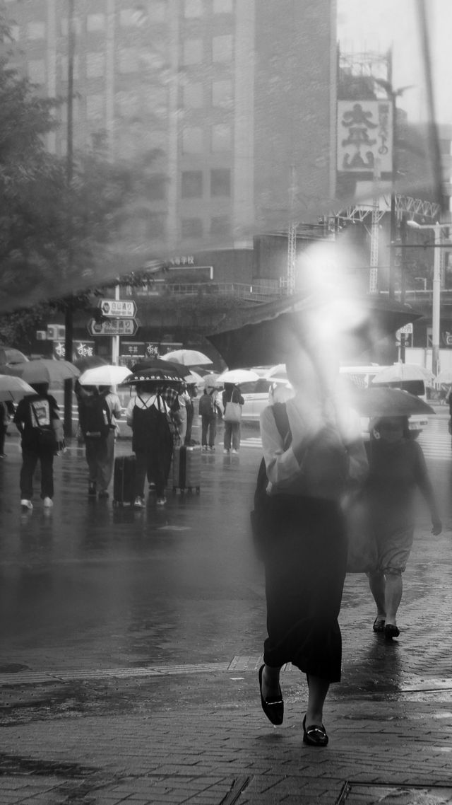 Monochrome