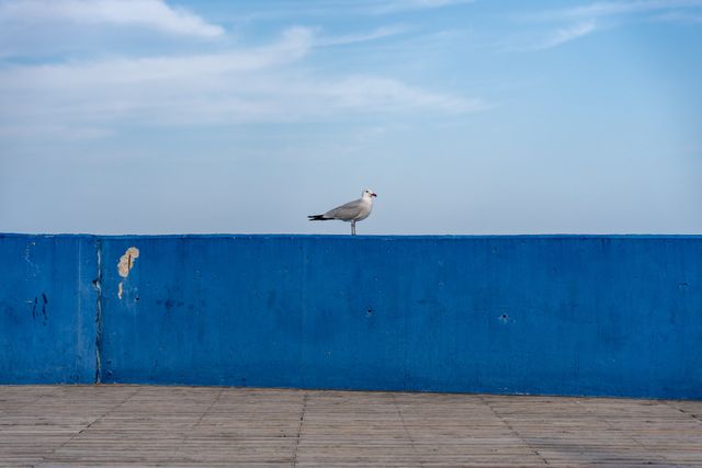 The Colour Blue
