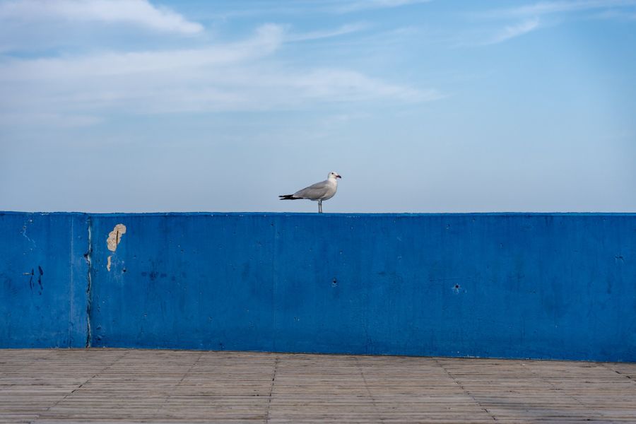 Submission by Ahmed Elassy