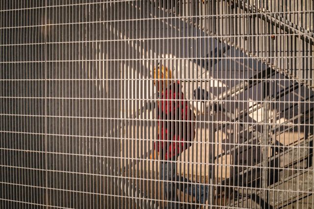 Abstract Creativity