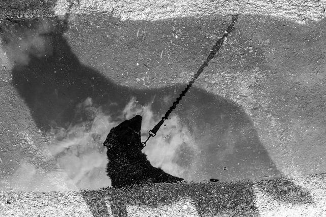 Reflections