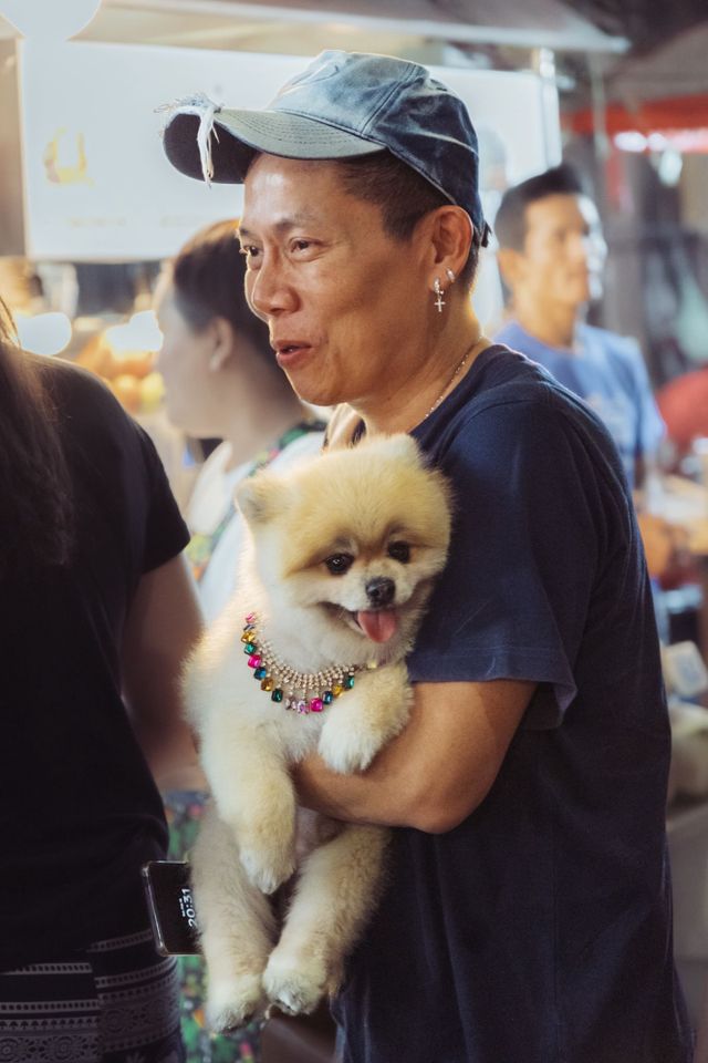 Dogs