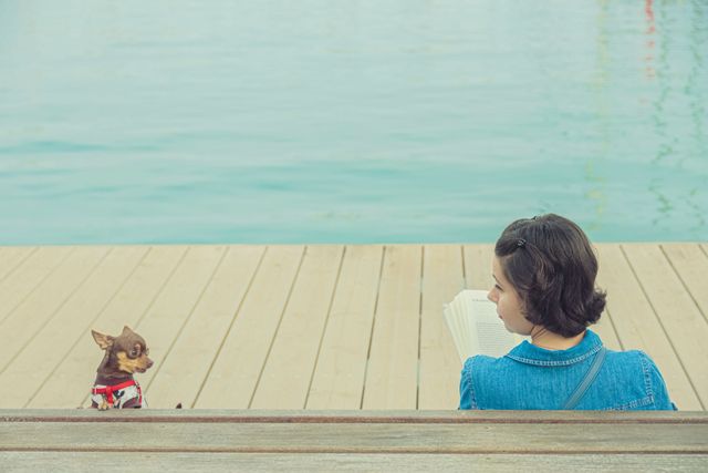 Dogs